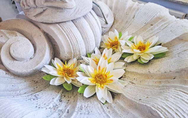 Villa Rose - Photo 25