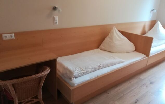 Löwenzahn - Photo 9