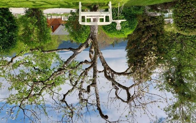 Löwenzahn - Photo 13