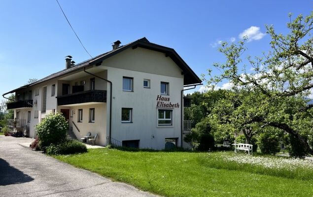 Löwenzahn - Photo 24