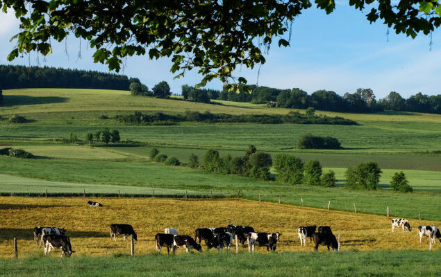 Reinskopf - Photo 42