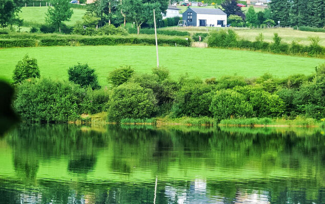 Au bord du Lac 2 - Photo 14