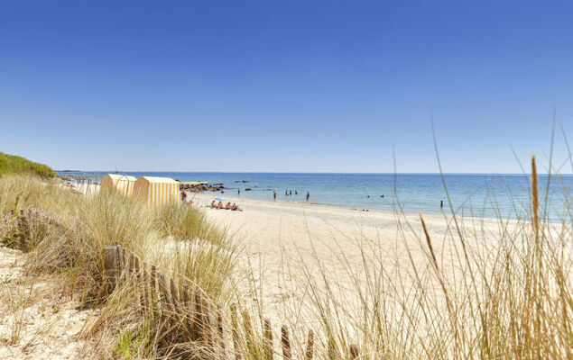 Otello 4 - L'ibis sacré - Photo 24