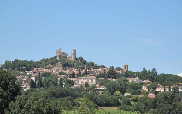 Les Mûres mûres - Photo 23