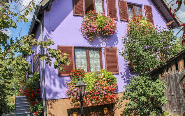 Résidence jaune et rose - Photo 17