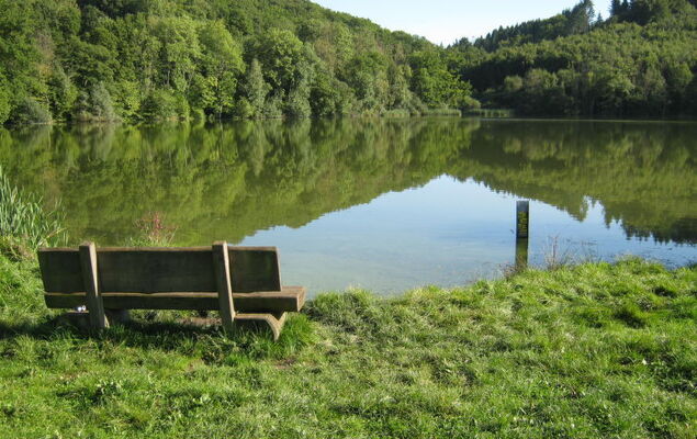 Eifelnatur (Haus 1) - Photo 45